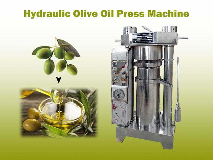 Olive oil cold press machine
