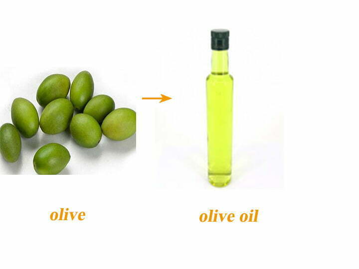 Olive and olive oil 1