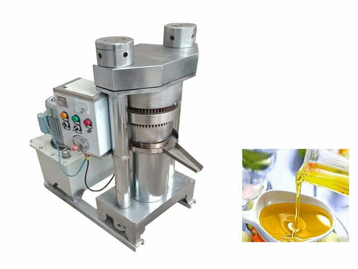 Canola oil press | rapeseed oil press machine for sale