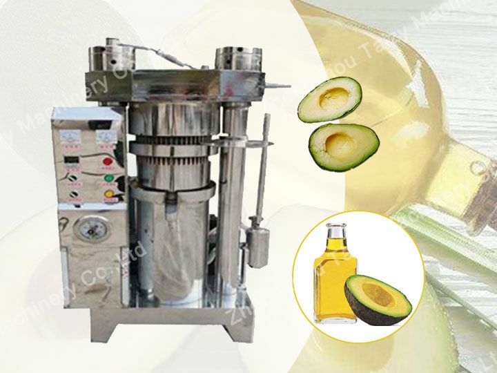 Avocado oil press machine